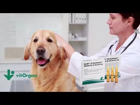 Film o produkcie NeyDIL® nr 68 Revitorgan® D4 provet.Ampułki, 5X2 ml