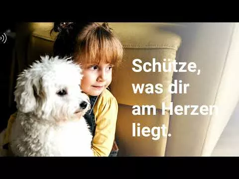 Film o produkcie Ticster Plus Spot-on dla kotów do 4kg (3x0,4ml)