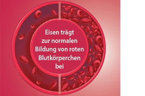 EISEN DIREKT plus witamina C+kwas foliowy+B12 w proszku, 60 szt