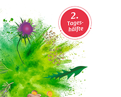 BASEN AKTIV Herbata nr 2 Dandelion Organic Salus, 40 szt