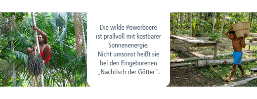 ACAI 100% organiczny proszek bez nośników, 80 g