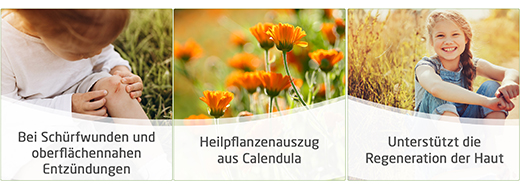 CALENDULA MAŚĆ NA RANY, 25 g