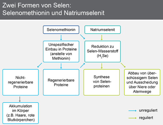 SELENASE 200 XXL tabletek, 90 szt