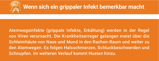 ANGOCIN Tabletki powlekane Anti Infekt N, 500 szt