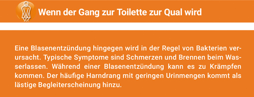 ANGOCIN Tabletki powlekane Anti Infekt N, 500 szt