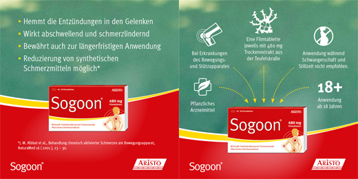SOGOON Tabletki powlekane 480 mg, 200 szt