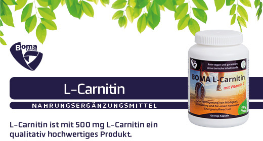 L-CARNITIN 500 kapsułek, 100 szt