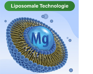 GLYCOWOHL vital liposomalny magnez w kapsułkach o wysokiej dawce, 120 szt