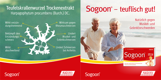 SOGOON Tabletki powlekane 480 mg, 200 szt