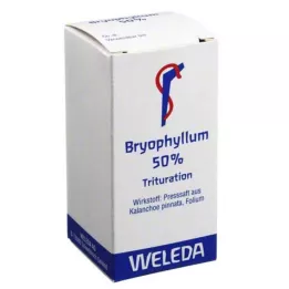 BRYOPHYLLUM 50% proszek doustny, 20 g