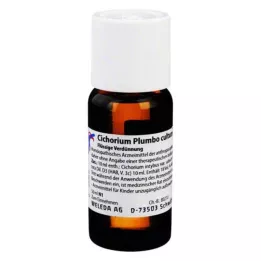CICHORIUM PLUMBO rozcieńczenie cultum D 3, 50 ml
