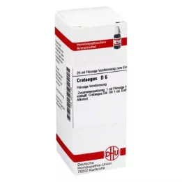 CRATAEGUS D 6 Rozcieńczenie, 20 ml