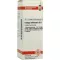 GALEGA officinalis D 6 Rozcieńczenie, 20 ml