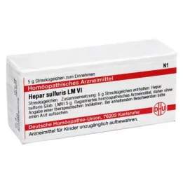 HEPAR SULFURIS LM VI Globulki, 5 g