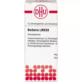 BERBERIS LM XXX Globulki, 5 g