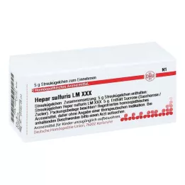 HEPAR SULFURIS LM XXX Globulki, 5 g