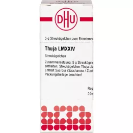 THUJA LM XXIV Globulki, 5 g