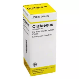 CRATAEGUS Rozcieńczenie vet., 250 ml