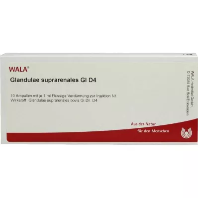 GLANDULAE SUPRARENALES GL D 4 ampułki, 10 x 1 ml