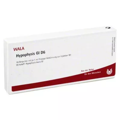 HYPOPHYSIS GL D 6 ampułek, 10 x 1 ml HYPOPHYSIS GL D 6 ampułek, 10 x 1 ml