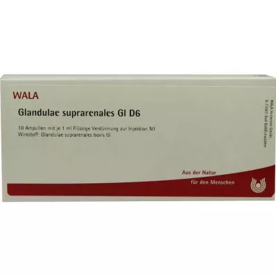 GLANDULAE SUPRARENALES GL D 6 ampułek, 10 x 1 ml GLANDULAE SUPRARENALES GL D 6 ampułek, 10 x 1 ml