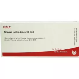 NERVUS ISCHIADICUS GL D 30 ampułek, 10 x 1 ml