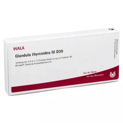 GLANDULA THYREOIDEA GL D 30 ampułek, 10 x 1 ml GLANDULA THYREOIDEA GL D 30 ampułek, 10 x 1 ml