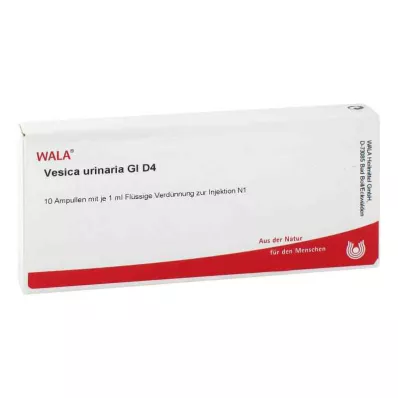 VESICA URINARIA GL D 4 ampułki, 10 x 1 ml VESICA URINARIA GL D 4 ampułki, 10 x 1 ml