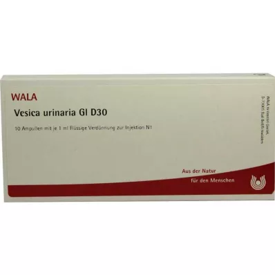 VESICA URINARIA GL D 30 ampułek, 10 x 1 ml VESICA URINARIA GL D 30 ampułek, 10 x 1 ml