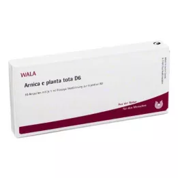 ARNICA E Planta tota D 6 ampułek, 10 x 1 ml