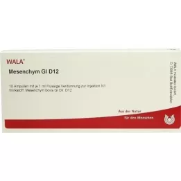 MESENCHYM GL D 12 ampułek, 10 x 1 ml