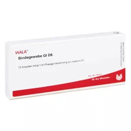 BINDEGEWEBE GL D 6 ampułek, 10 x 1 ml