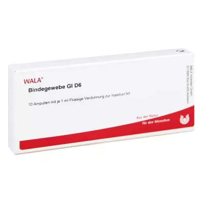 BINDEGEWEBE GL D 6 ampułek, 10 x 1 ml