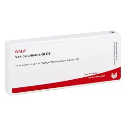VESICA URINARIA GL D 6 ampułek, 10 x 1 ml