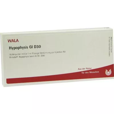 HYPOPHYSIS GL D 30 ampułek, 10 x 1 ml HYPOPHYSIS GL D 30 ampułek, 10 x 1 ml