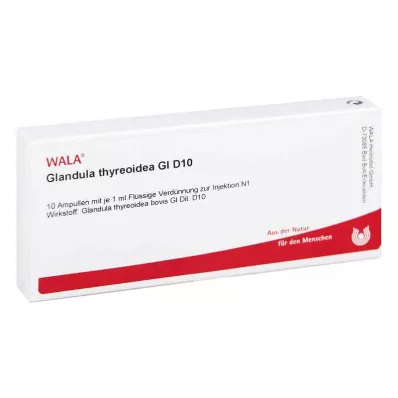 GLANDULA THYREOIDEA GL D 10 ampułek, 10 x 1 ml GLANDULA THYREOIDEA GL D 10 ampułek, 10 x 1 ml