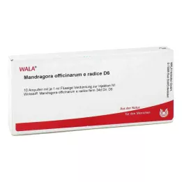 MANDRAGORA OFFICINARIUM e radice D 6 Ampułki, 10 x 1 ml
