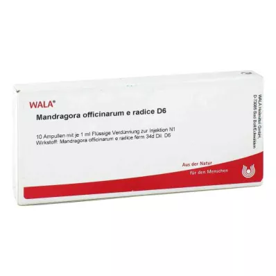 MANDRAGORA OFFICINARIUM e radice D 6 Ampułki, 10 x 1 ml MANDRAGORA OFFICINARIUM e radice D 6 Ampułki, 10 x 1 ml