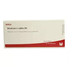 VERATRUM E radice D 4 ampułki, 10 x 1 ml