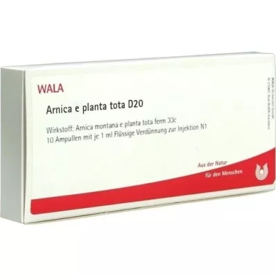ARNICA E Planta tota D 20 ampułek, 10 x 1 ml