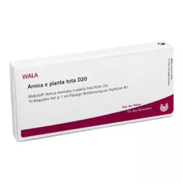 ARNICA E Planta tota D 20 ampułek, 10 x 1 ml
