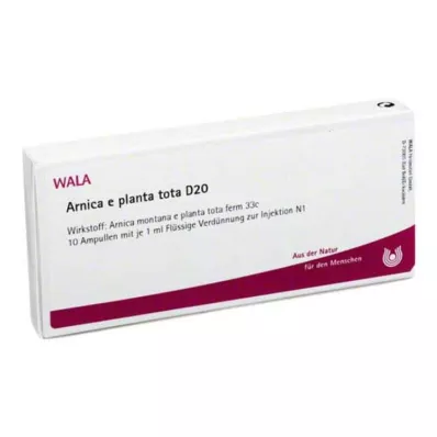 ARNICA E Planta tota D 20 ampułek, 10 x 1 ml ARNICA E Planta tota D 20 ampułek, 10 x 1 ml