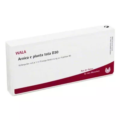ARNICA E Planta tota D 30 ampułek, 10X1 ml