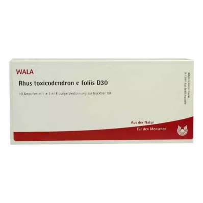 RHUS TOXICODENDRON E foliis D 30 ampułek, 10 x 1 ml