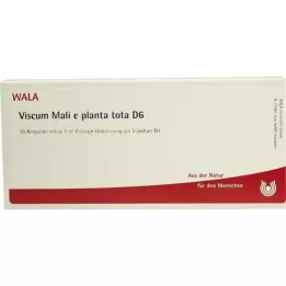 VISCUM MALI e planta tota D 6 ampułek, 10X1 ml