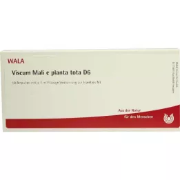 VISCUM MALI e planta tota D 6 ampułek, 10X1 ml
