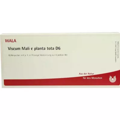 VISCUM MALI e planta tota D 6 ampułek, 10X1 ml