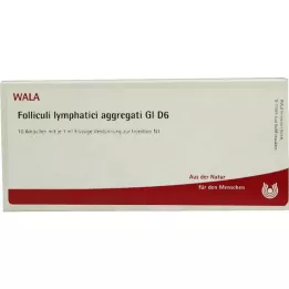 FOLLICULI LYMPHATICI aggregati GL D 6 ampułek, 10X1 ml