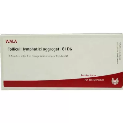 FOLLICULI LYMPHATICI aggregati GL D 6 ampułek, 10X1 ml FOLLICULI LYMPHATICI aggregati GL D 6 ampułek, 10X1 ml