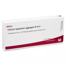 FOLLICULI LYMPHATICI aggregati GL D 12 ampułek, 10X1 ml